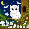 Eule in einer bunten Waldlandschaft bei Nacht zum Ausmalen